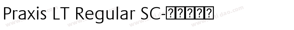 Praxis LT Regular SC字体转换